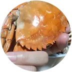 连云港赶海小课堂 群聊头像