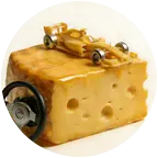 🧀巴斯克的小车库🏎️ 群聊头像