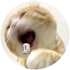 库库唱🎤就完了 群聊头像