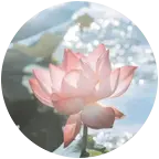 刘亦菲们 群聊头像