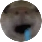 老旋律的三角洲小窝 群聊头像