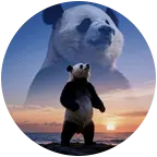 Panda守护 群聊头像