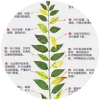 农技交流群 群聊头像
