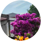 花友交流 群聊头像