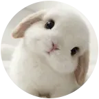 3️⃣美少女萌 群聊头像