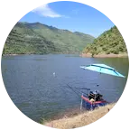 野钓巨物 群聊头像