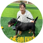 梗犬爱好者 群聊头像