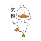 呆鸭欧气群01 群聊头像