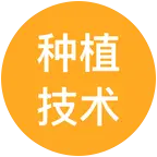 红薯种植交流群 群聊头像