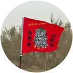 爱护环境露营烧烤 群聊头像