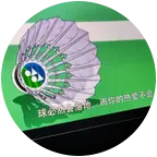 约球🏸西安版 群聊头像