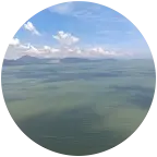 珠三角退役战友创业群 群聊头像