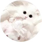 ๑>⩊<๑ 群聊头像
