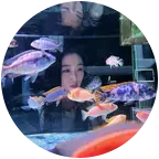美羊羊养鱼日记群 群聊头像