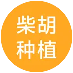 柴胡种植技术交流 群聊头像
