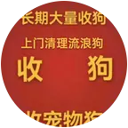 爱狗如命 群聊头像
