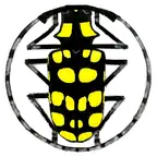 【鉴定】昆虫鉴定交流群 群聊头像