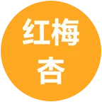 红梅杏种植，树苗 群聊头像
