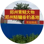 郑州青鲢大物2群(郑州鲢鳙垂钓基地) 群聊头像