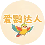 爱鹦达人玄凤鹦鹉交流 群聊头像