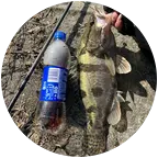 哦豁🎣不打鳜 群聊头像