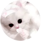 ₍ᐢ. ₓ .ᐢ₎ 群聊头像