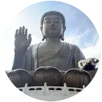 流浪动物救助群 群聊头像