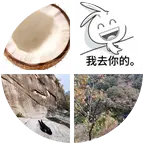 618蹲蹲🚗 群聊头像