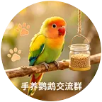 手养鹦鹉交流群 群聊头像
