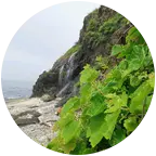南关岭赶海钓鱼群 群聊头像
