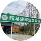 韧马生鲜生态农场2群 群聊头像