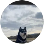 老班长田园犬 群聊头像