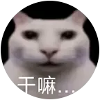 绘月的小窝 群聊头像