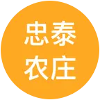 🇭🇰香港交友群1💰 群聊头像