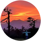 奔赴山海 群聊头像