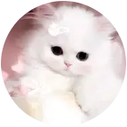 ₍՞˶⦁֊⦁˶՞₎੭ﾞ 群聊头像