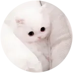 ^-ᯅ-^ ੭ 群聊头像