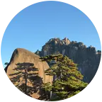 青山赴约 群聊头像