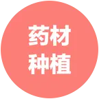 种植交流 群聊头像
