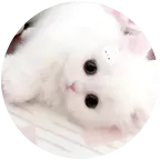 ^⦁⩊⦁^ ੭ 群聊头像