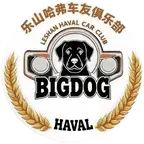 全国哈弗大狗车友群2群 群聊头像