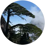 黄山之约（保持热爱，奔赴山海） 群聊头像