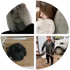 和平精英游戏群 群聊头像