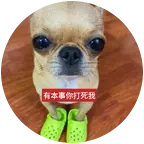 雏鹰般的可怜小匹谷 群聊头像