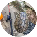路亚野钓群聊 群聊头像