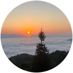 璋珍村 观云海群 群聊头像