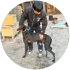 蒙宁犬业交流群 群聊头像