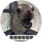 海狮基地2 群聊头像