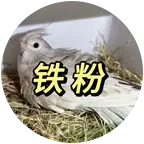 小薯芋家的铁粉窝🪹 群聊头像