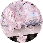 JS俱乐部 群聊头像